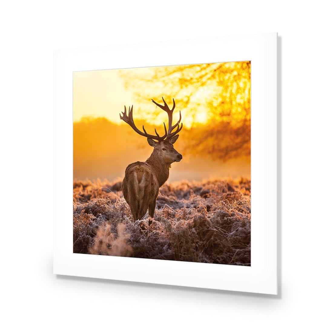 Sunset Deer Returns (square) - Wall Art Designs - 2224_AS_Q WAD_CP - MPY - 260 - M - S - S_37x37_NONE