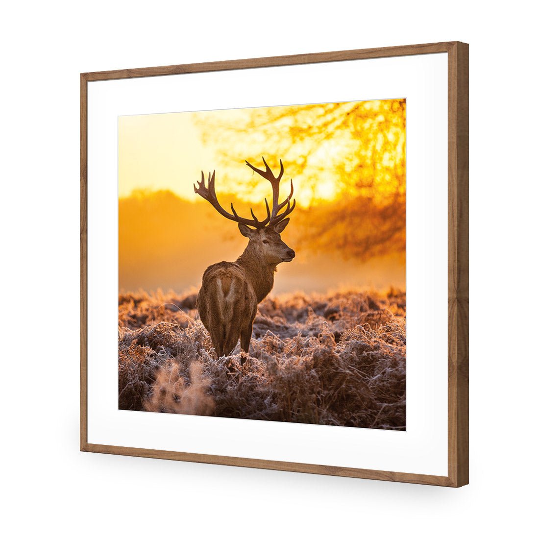 Sunset Deer Returns (square) - Wall Art Designs - 2224_AS_Q WAD_CP - MPY - 260 - M - S - S_37x37_NONE