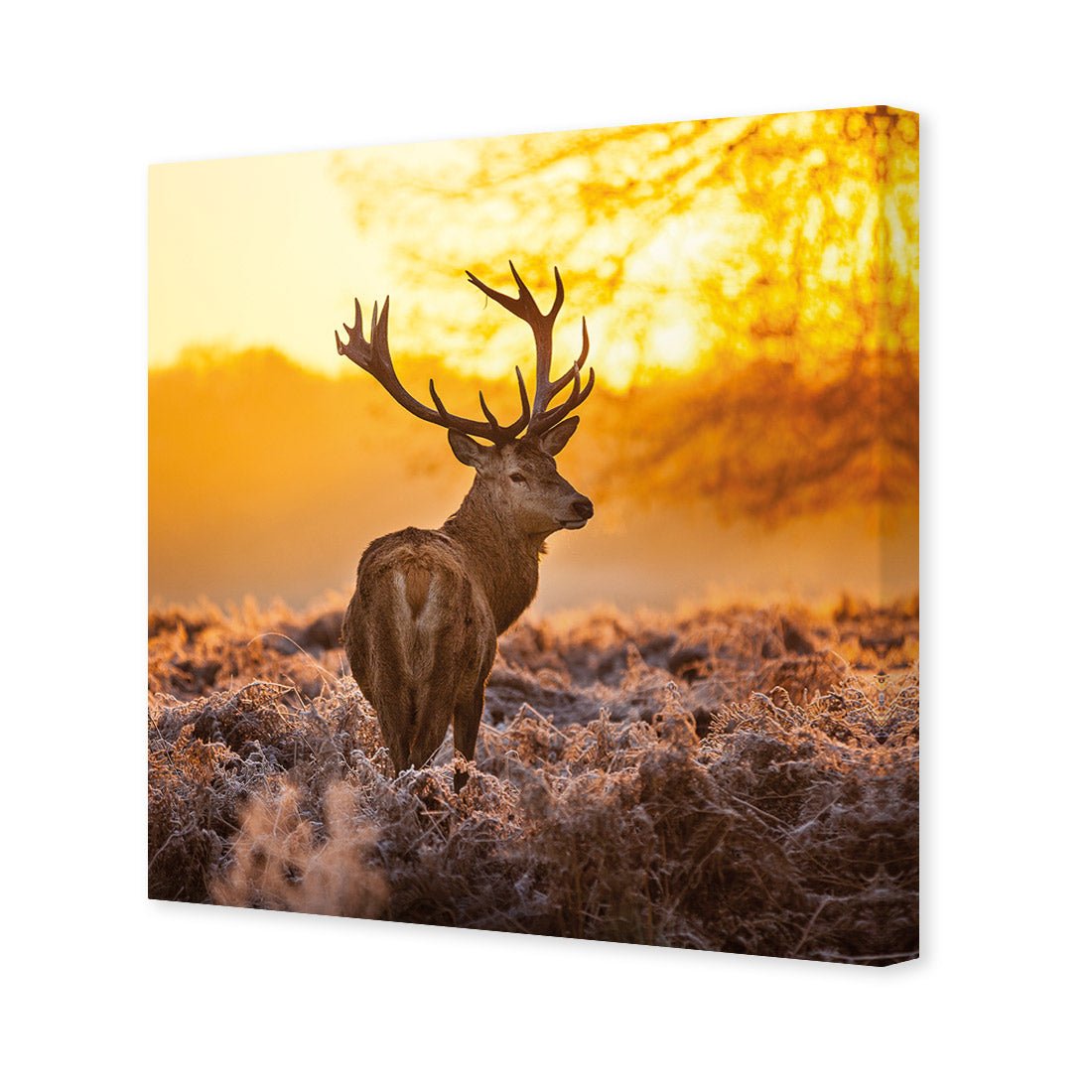 Sunset Deer Returns (square) - Wall Art Designs - 2224_AS_Q WAD_CP - MPY - 260 - M - S - S_37x37_NONE