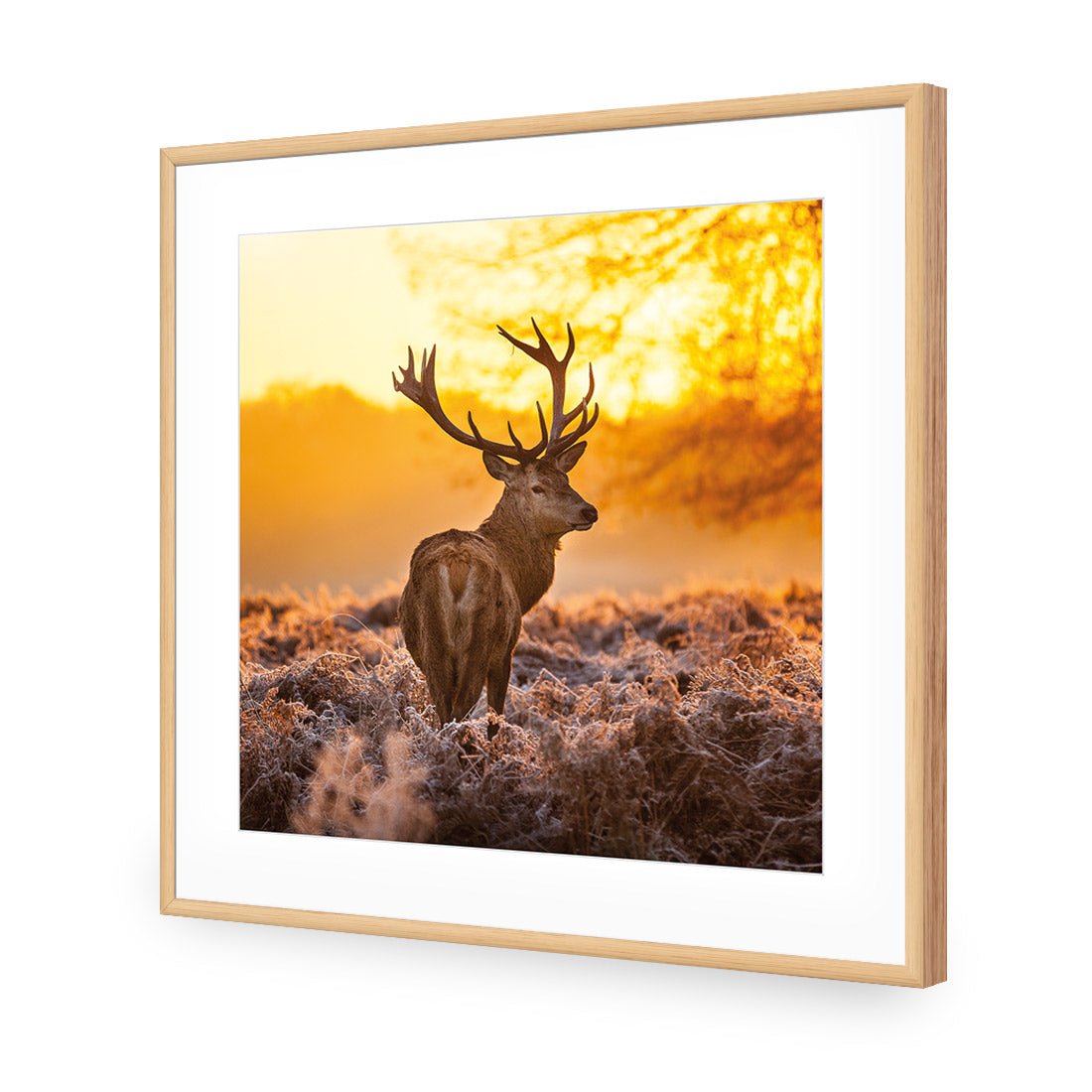 Sunset Deer Returns (square) - Wall Art Designs - 2224_AS_Q WAD_CP - MPY - 260 - M - S - S_37x37_NONE