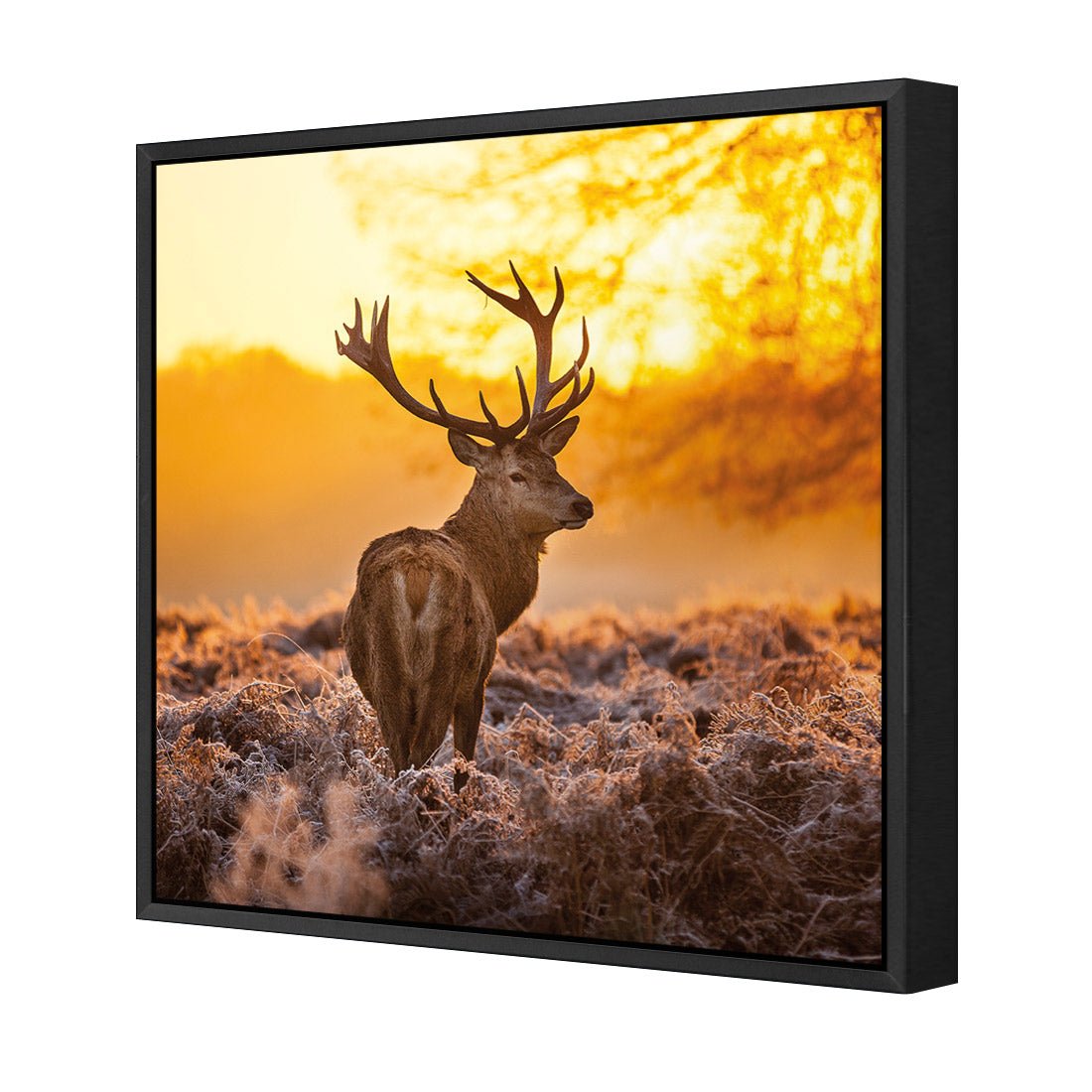 Sunset Deer Returns (square) - Wall Art Designs - 2224_AS_Q WAD_CP - MPY - 260 - M - S - S_37x37_NONE