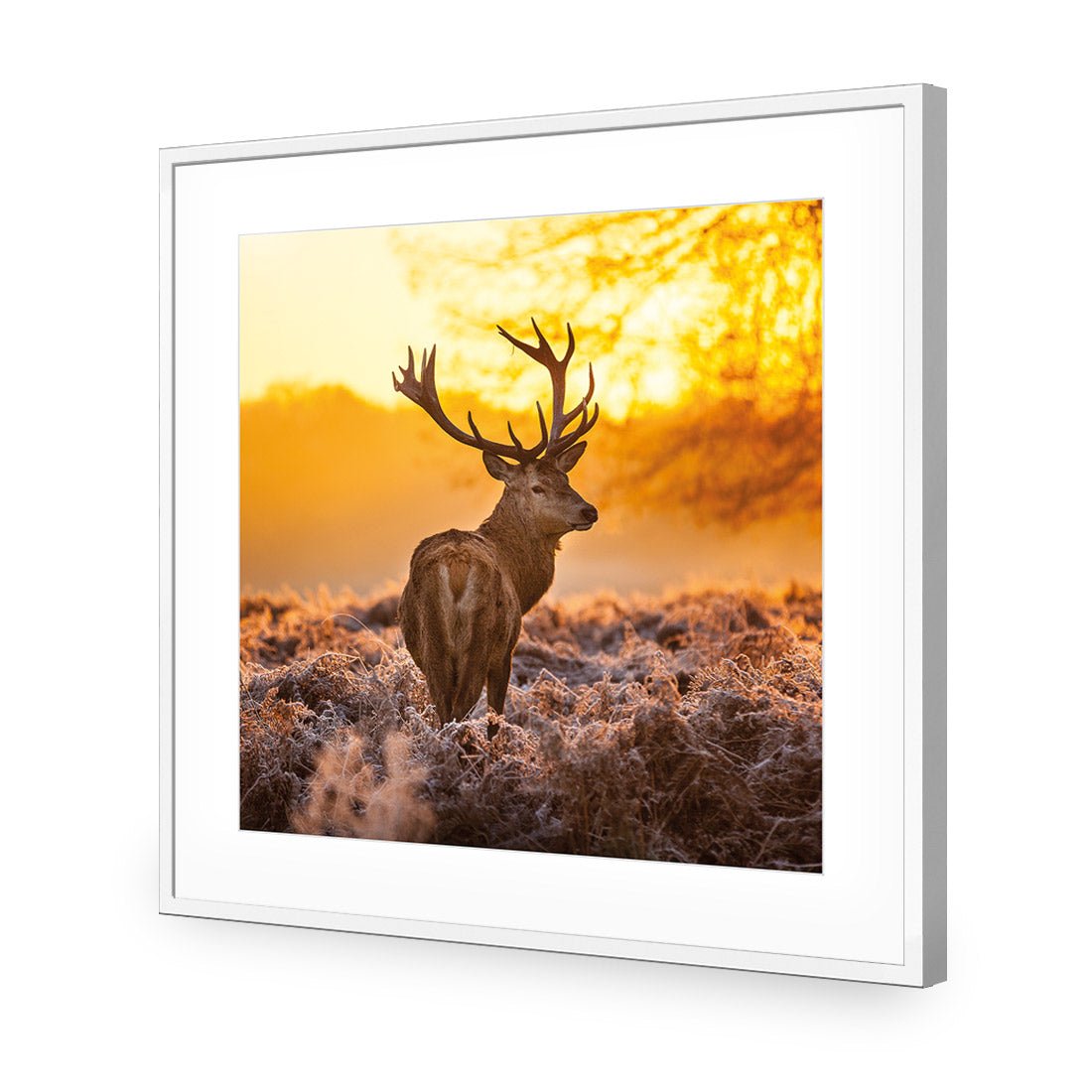 Sunset Deer Returns (square) - Wall Art Designs - 2224_AS_Q WAD_CP - MPY - 260 - M - S - S_37x37_NONE