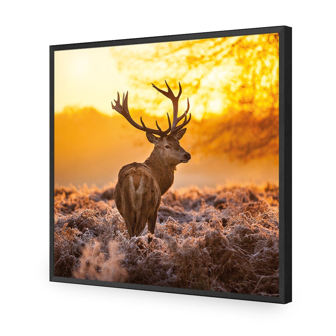 Sunset Deer Returns (square) - Wall Art Designs - 2224_AS_Q WAD_CP - MPY - 260 - M - S - S_37x37_NONE