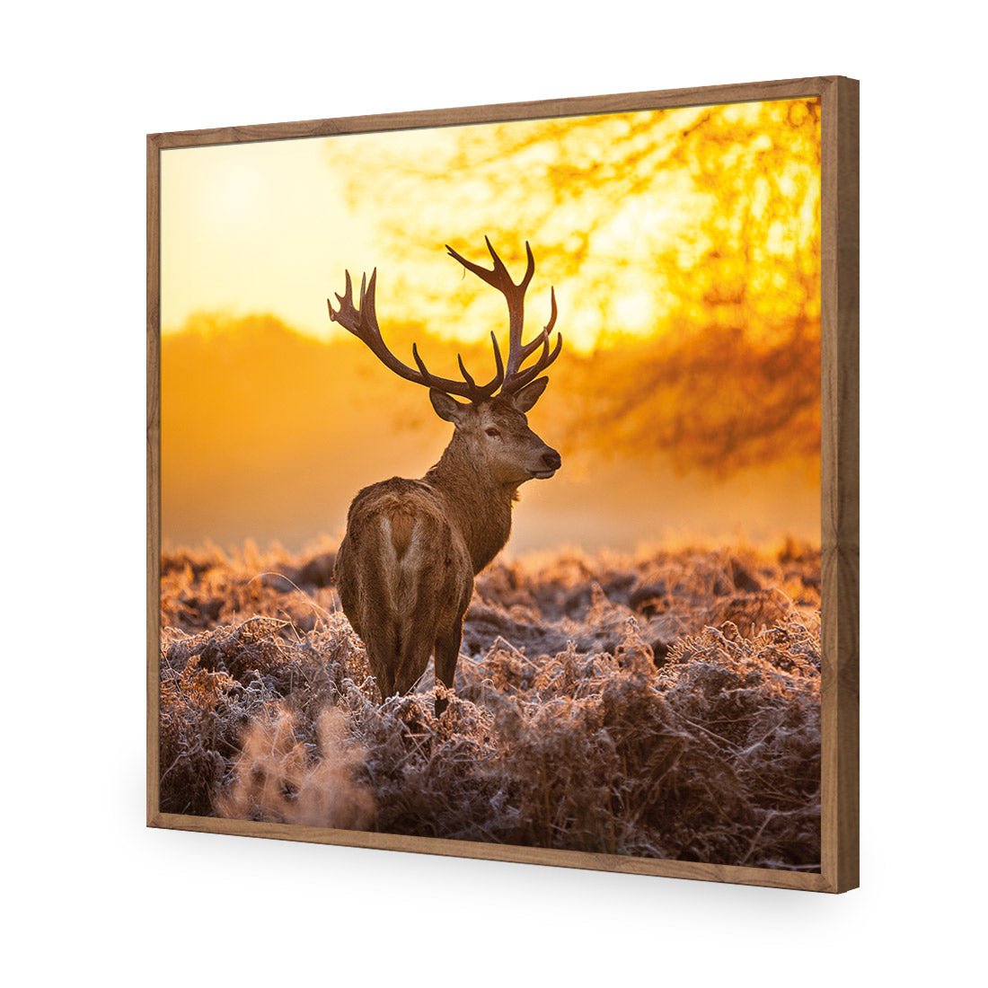 Sunset Deer Returns (square) - Wall Art Designs - 2224_AS_Q WAD_CP - MPY - 260 - M - S - S_37x37_NONE