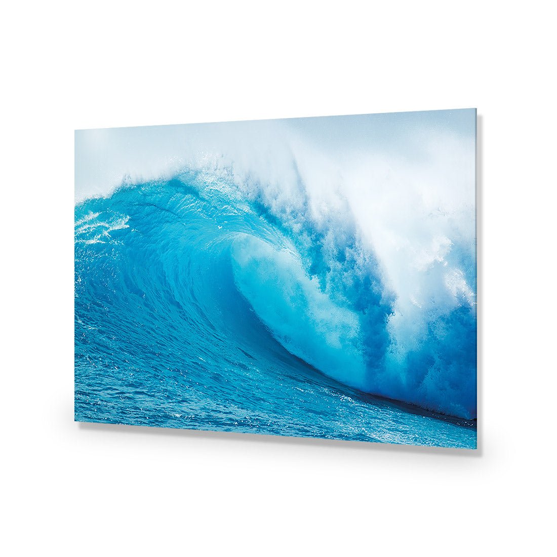 The Curl - Wall Art Designs - 4316_AR_H WAD_AP - 030 - EDG_45x30_NONE