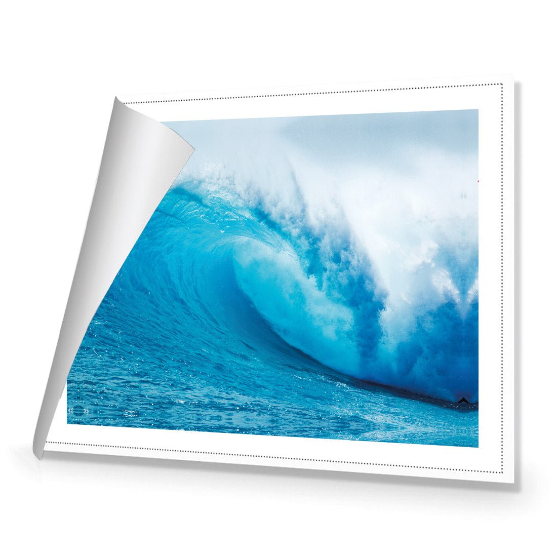 The Curl - Wall Art Designs - 4316_AR_H WAD_CP - MPY - 260 - M - R_45x30_NONE