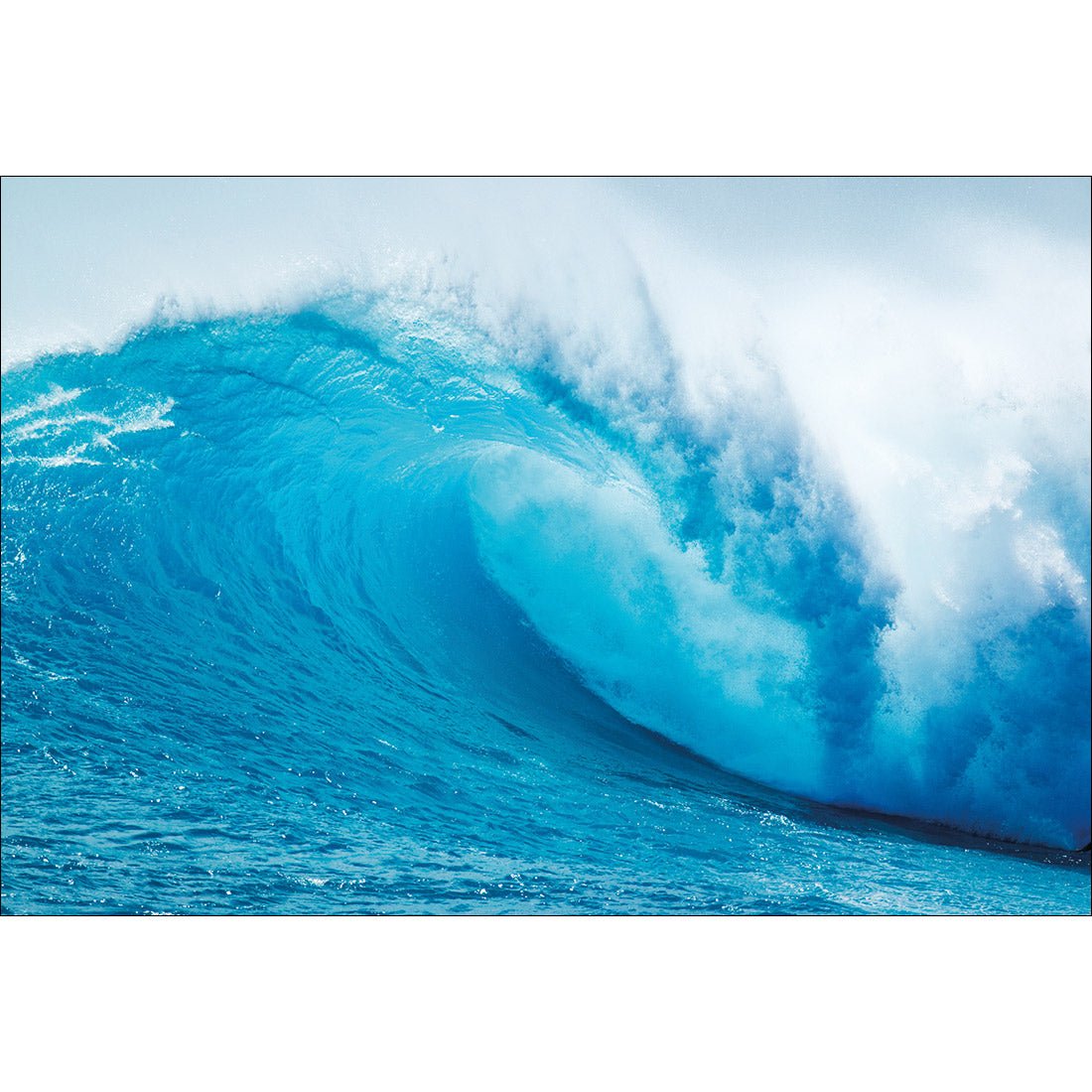 The Curl - Wall Art Designs - 4316_AR_H WAD_CP - MPY - 260 - M - S - S_45x30_NONE