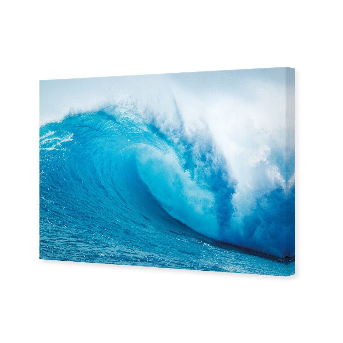 The Curl - Wall Art Designs - 4316_AR_H WAD_CP - MPY - 260 - M - S - S_45x30_NONE