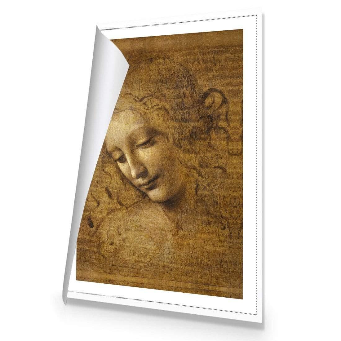 The Head of a Woman by Leonardo da Vinci - Wall Art Designs - 3830_AR_V WAD_CP - MPY - 260 - M - R_45x30_NONE