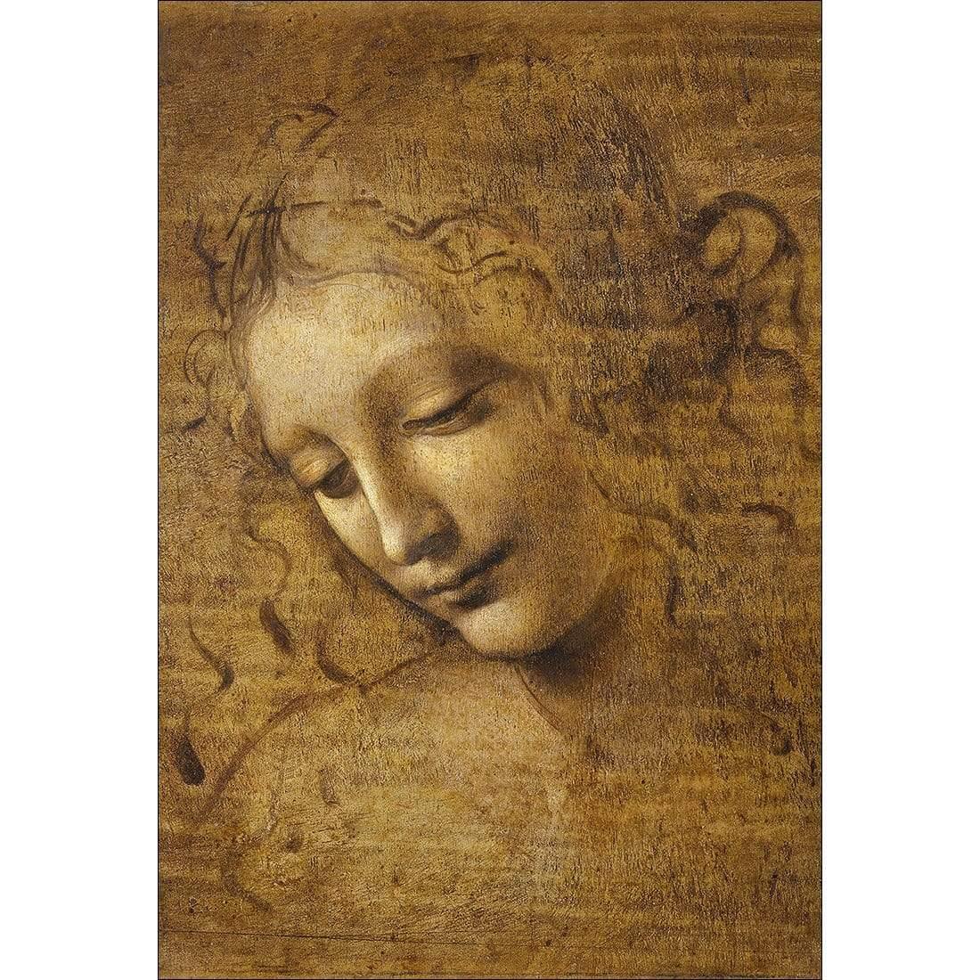 The Head of a Woman by Leonardo da Vinci - Wall Art Designs - 3830_AR_V WAD_CP - MPY - 260 - M - S - S_45x30_NONE