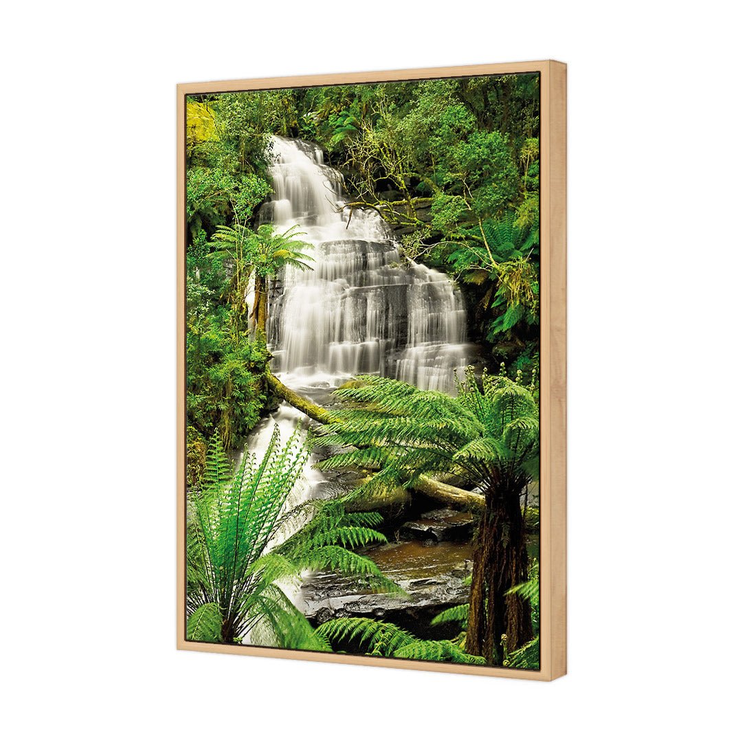 Triplet Falls Otway - Wall Art Designs - 769_AR_V WAD_CP - MPY - 260 - M - S - S_45x30_S - 1550 - OAK