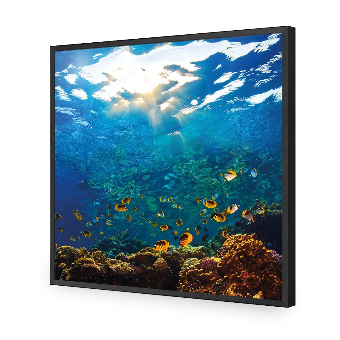 Tropical Depths (square) - Wall Art Designs - 2437_AS_Q WAD_AP - 030 - EDG_37x37_S - 2538 - BLK