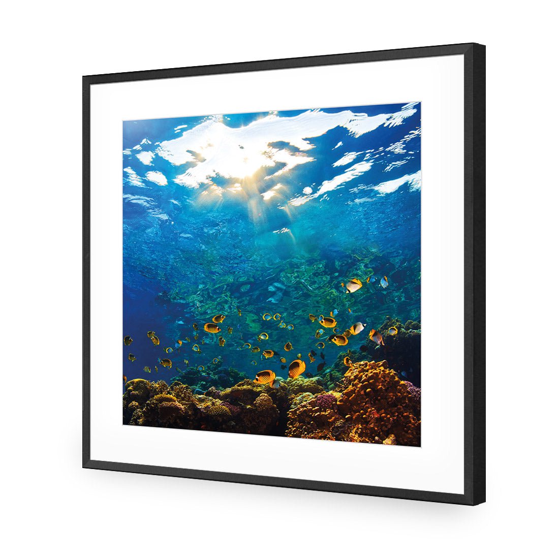 Tropical Depths (square) - Wall Art Designs - 2437_AS_Q WAD_AP - 030 - MAT_37x37_S - 2538 - BLK