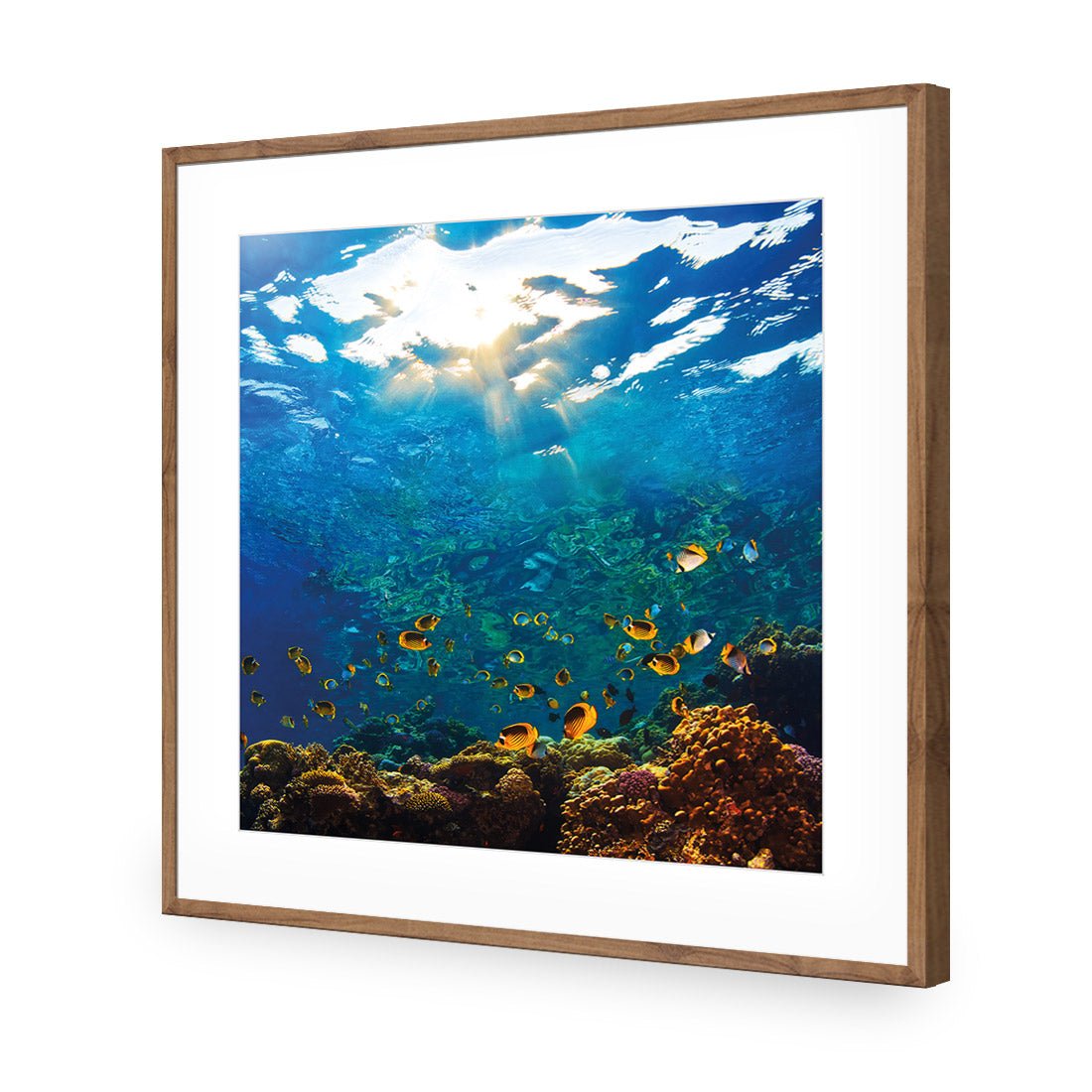 Tropical Depths (square) - Wall Art Designs - 2437_AS_Q WAD_AP - 030 - MAT_37x37_S - 2538 - NAT