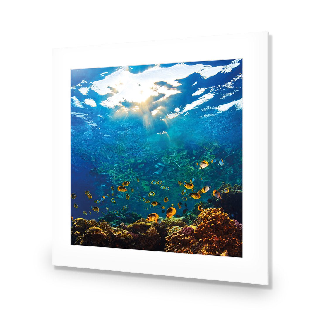 Tropical Depths (square) - Wall Art Designs - 2437_AS_Q WAD_AP - 030 - MAT_37x37_NONE