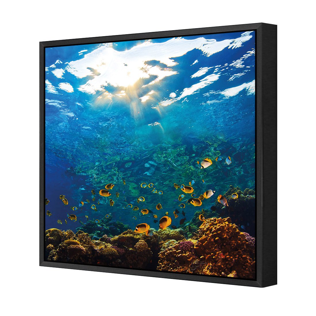 Tropical Depths (square) - Wall Art Designs - 2437_AS_Q WAD_CP - MPY - 260 - M - S - S_37x37_S - 1550 - BLK