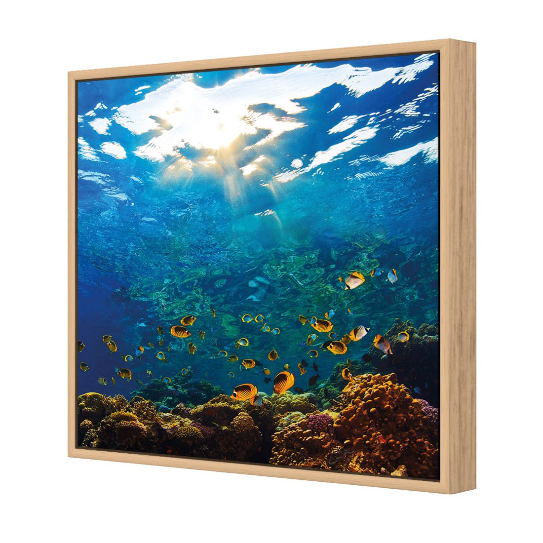 Tropical Depths (square) - Wall Art Designs - 2437_AS_Q WAD_CP - MPY - 260 - M - S - S_37x37_S - 1550 - OAK