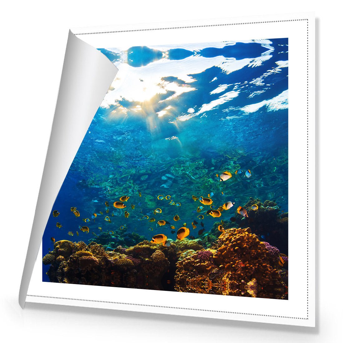 Tropical Depths (square) - Wall Art Designs - 2437_AS_Q WAD_CP - MPY - 260 - M - R_37x37_NONE