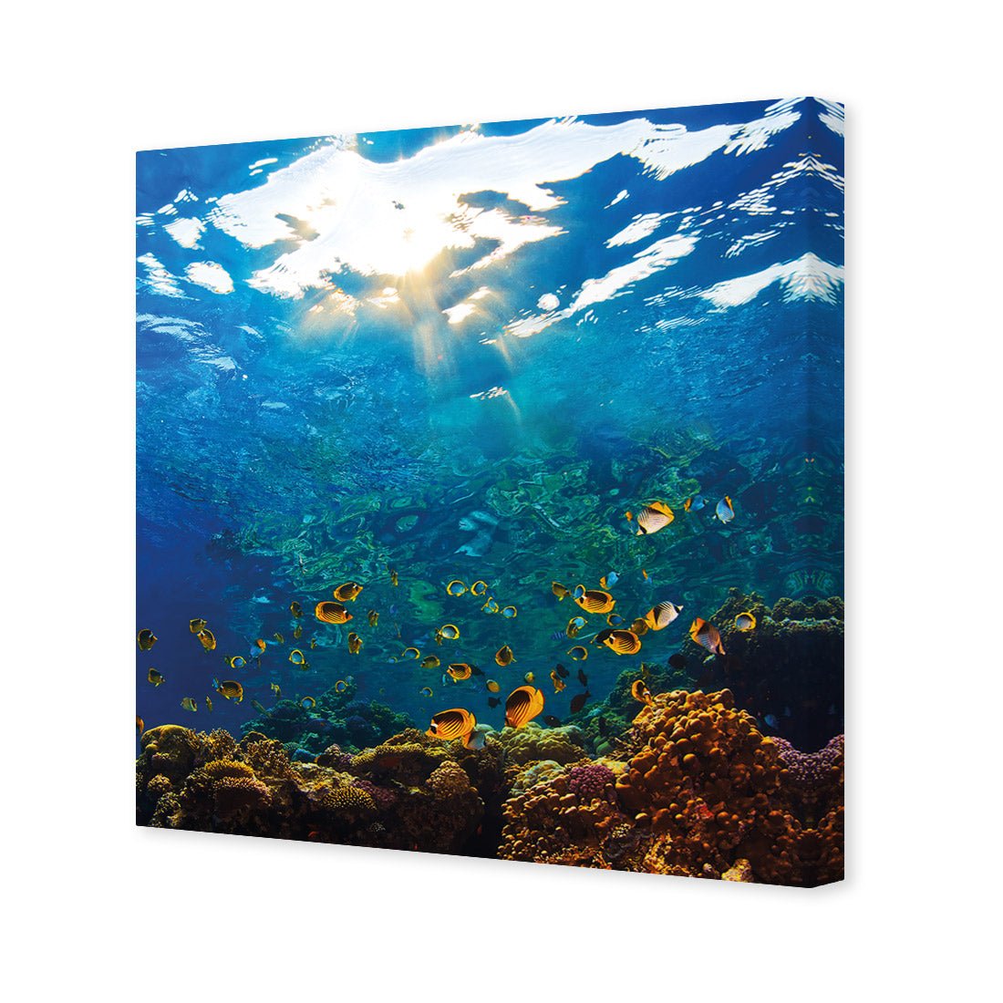 Tropical Depths (square) - Wall Art Designs - 2437_AS_Q WAD_CP - MPY - 260 - M - S - S_37x37_NONE