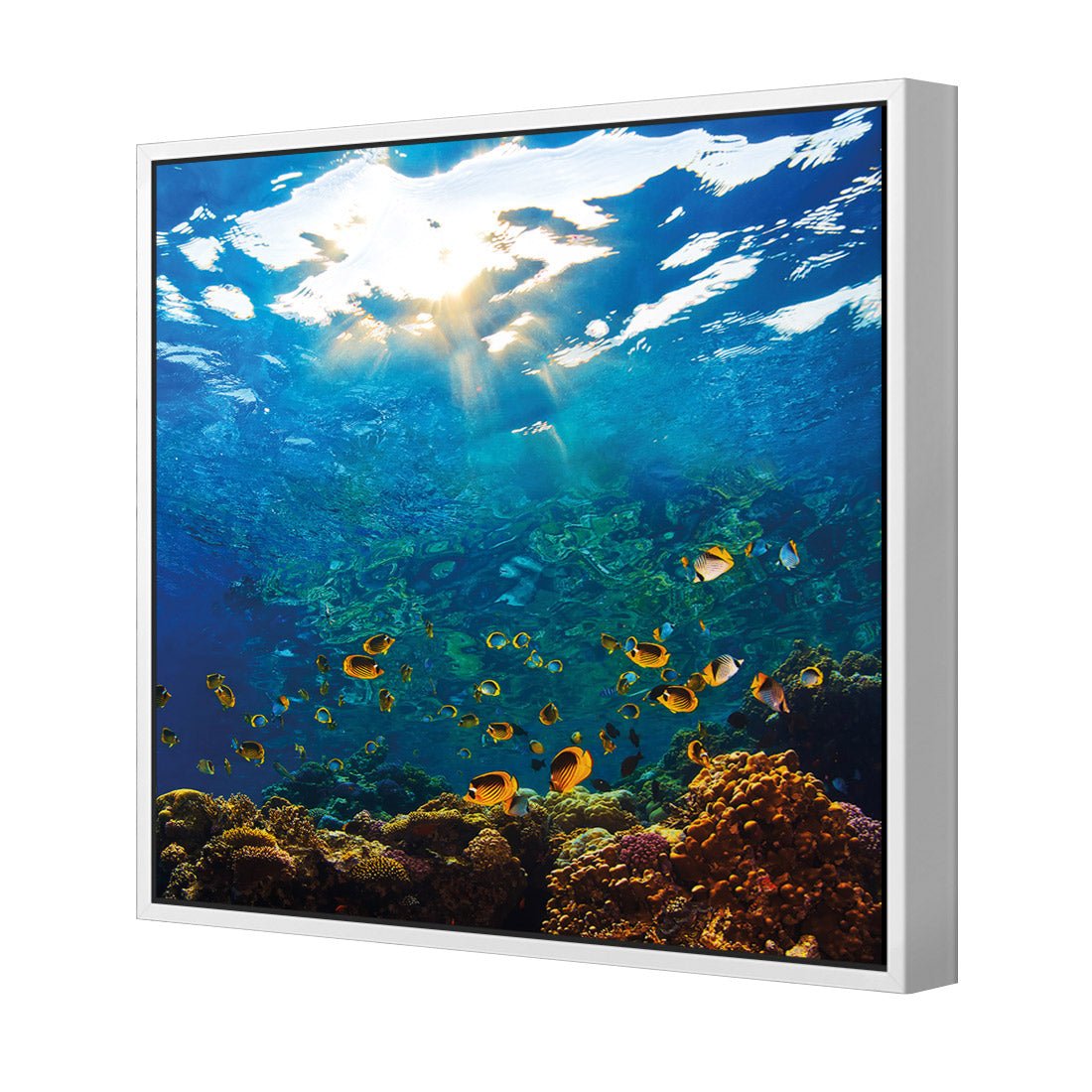 Tropical Depths (square) - Wall Art Designs - 2437_AS_Q WAD_CP - MPY - 260 - M - S - S_37x37_S - 1550 - WHT