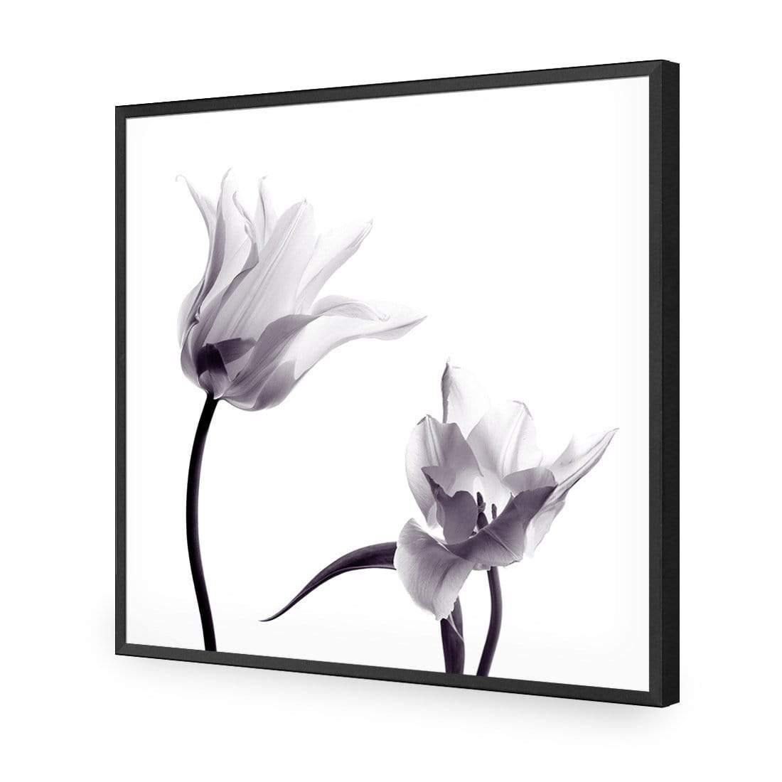 Tulip Transparency 2 - Wall Art Designs - 3116_AS_Q WAD_CP - MPY - 260 - M - S - S_37x37_NONE