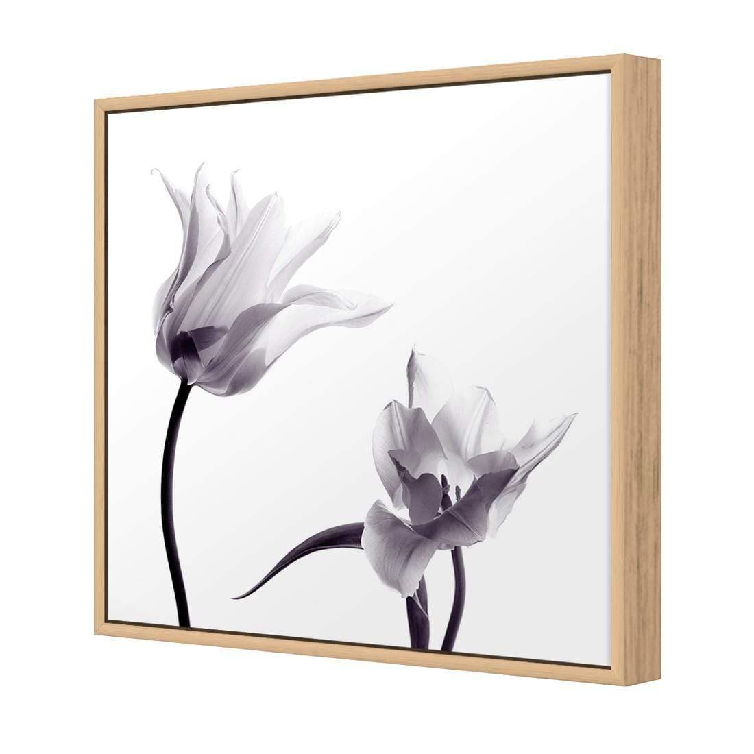 Tulip Transparency 2 - Wall Art Designs - 3116_AS_Q WAD_CP - MPY - 260 - M - S - S_37x37_NONE