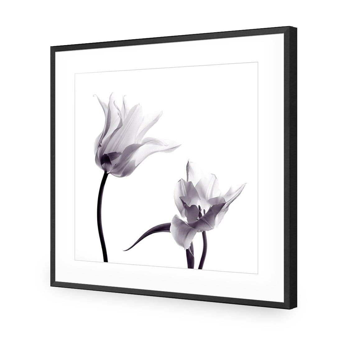 Tulip Transparency 2 - Wall Art Designs - 3116_AS_Q WAD_CP - MPY - 260 - M - S - S_37x37_NONE