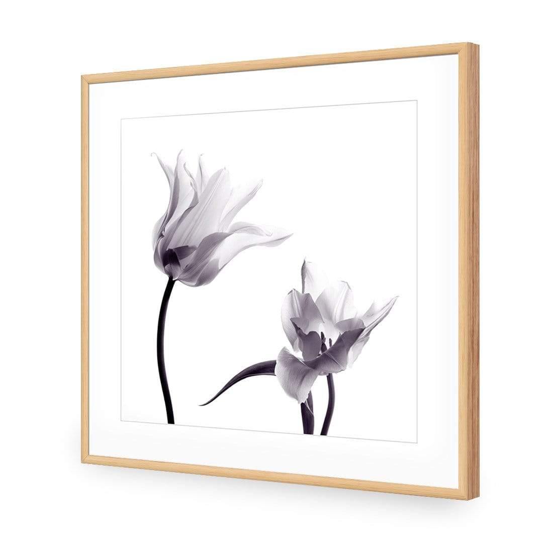 Tulip Transparency 2 - Wall Art Designs - 3116_AS_Q WAD_CP - MPY - 260 - M - S - S_37x37_NONE