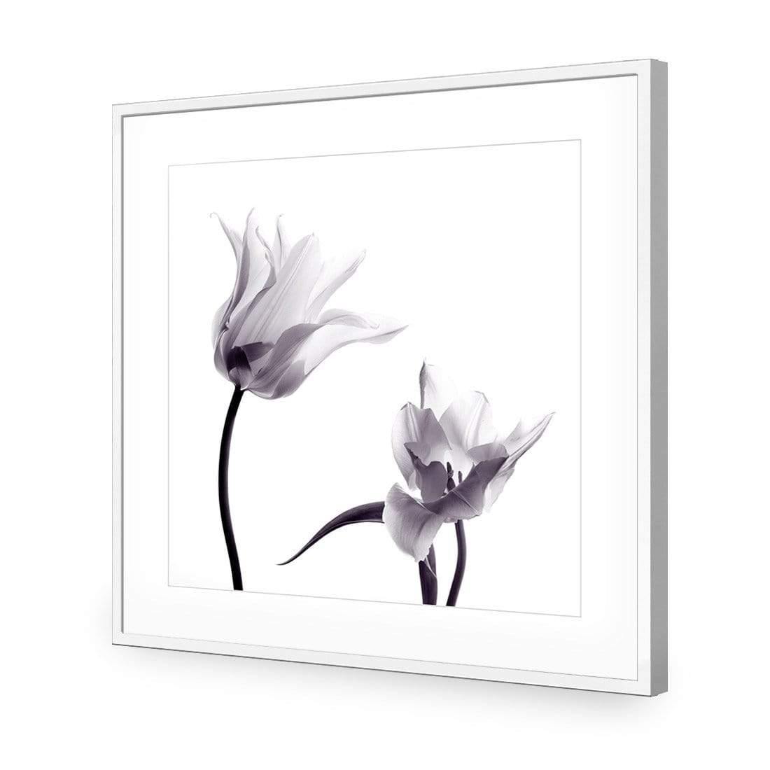 Tulip Transparency 2 - Wall Art Designs - 3116_AS_Q WAD_CP - MPY - 260 - M - S - S_37x37_NONE