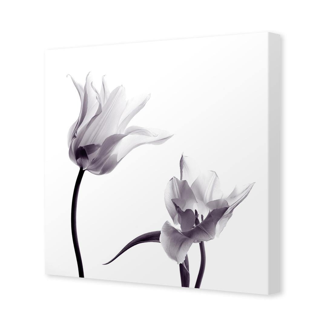 Tulip Transparency 2 - Wall Art Designs - 3116_AS_Q WAD_CP - MPY - 260 - M - S - S_37x37_NONE