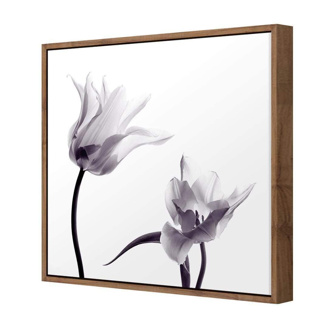 Tulip Transparency 2 - Wall Art Designs - 3116_AS_Q WAD_CP - MPY - 260 - M - S - S_37x37_NONE