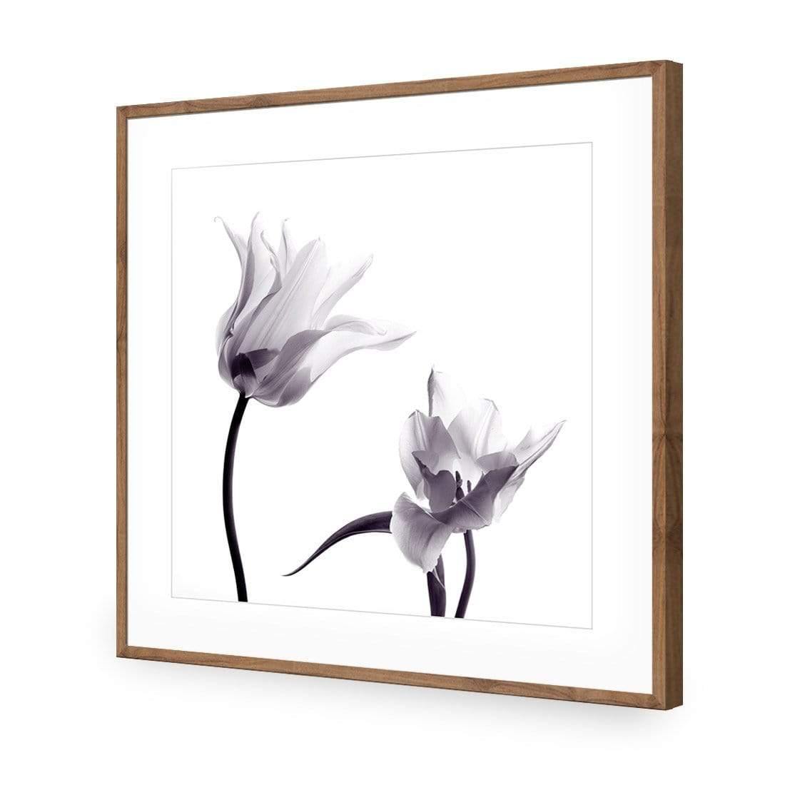 Tulip Transparency 2 - Wall Art Designs - 3116_AS_Q WAD_CP - MPY - 260 - M - S - S_37x37_NONE