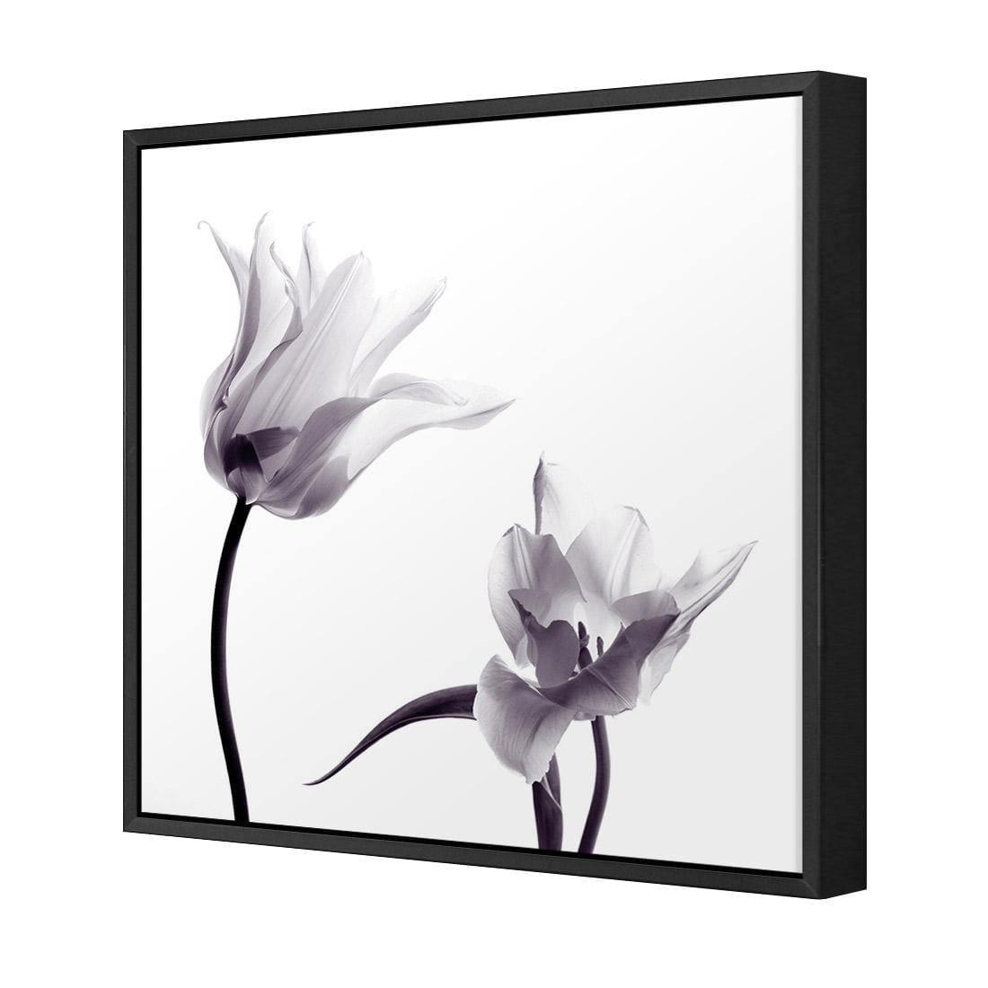 Tulip Transparency 2 - Wall Art Designs - 3116_AS_Q WAD_CP - MPY - 260 - M - S - S_37x37_NONE