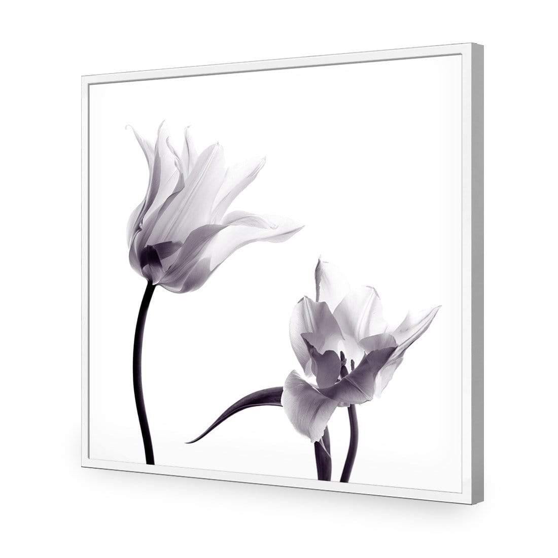 Tulip Transparency 2 - Wall Art Designs - 3116_AS_Q WAD_CP - MPY - 260 - M - S - S_37x37_NONE