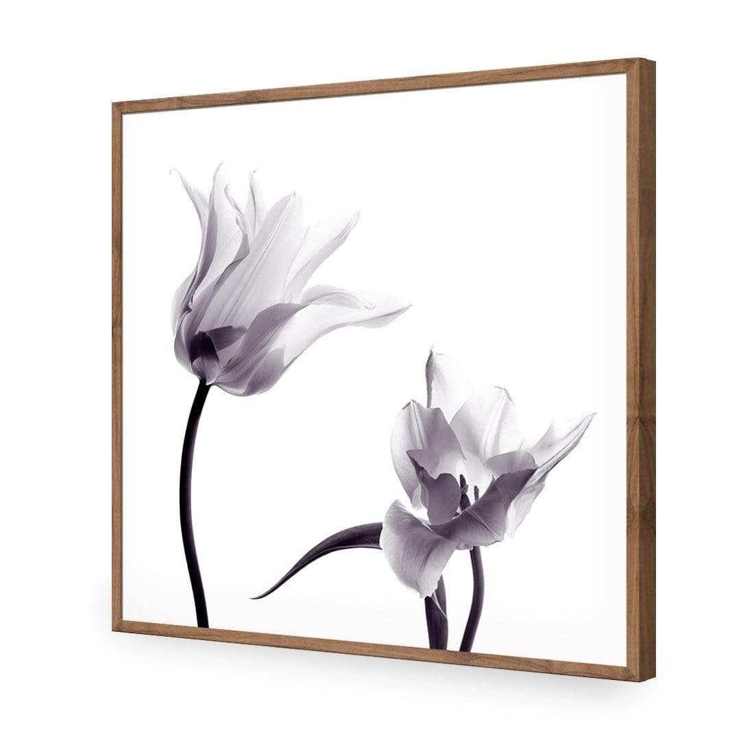 Tulip Transparency 2 - Wall Art Designs - 3116_AS_Q WAD_CP - MPY - 260 - M - S - S_37x37_NONE