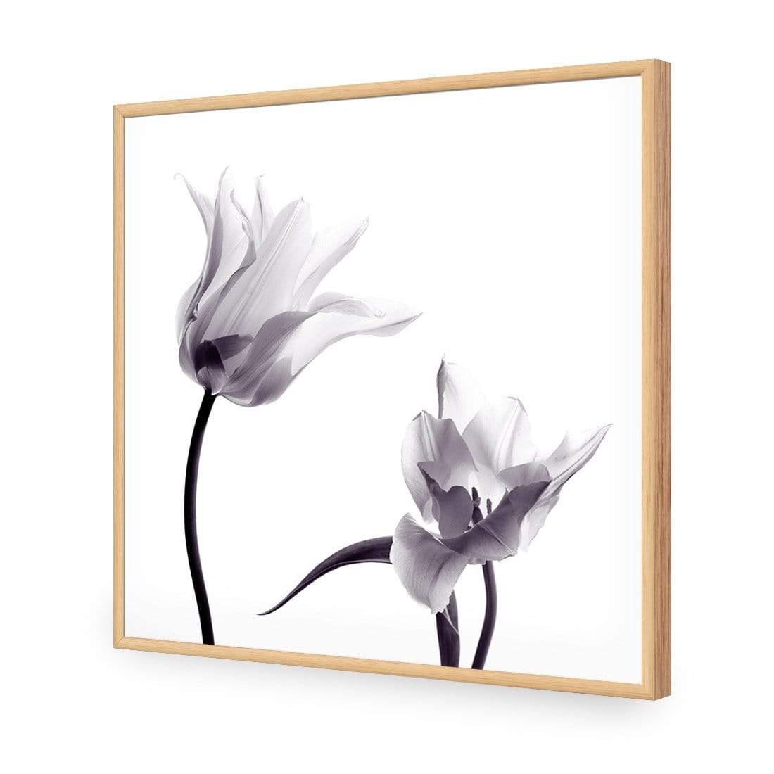 Tulip Transparency 2 - Wall Art Designs - 3116_AS_Q WAD_CP - MPY - 260 - M - S - S_37x37_NONE