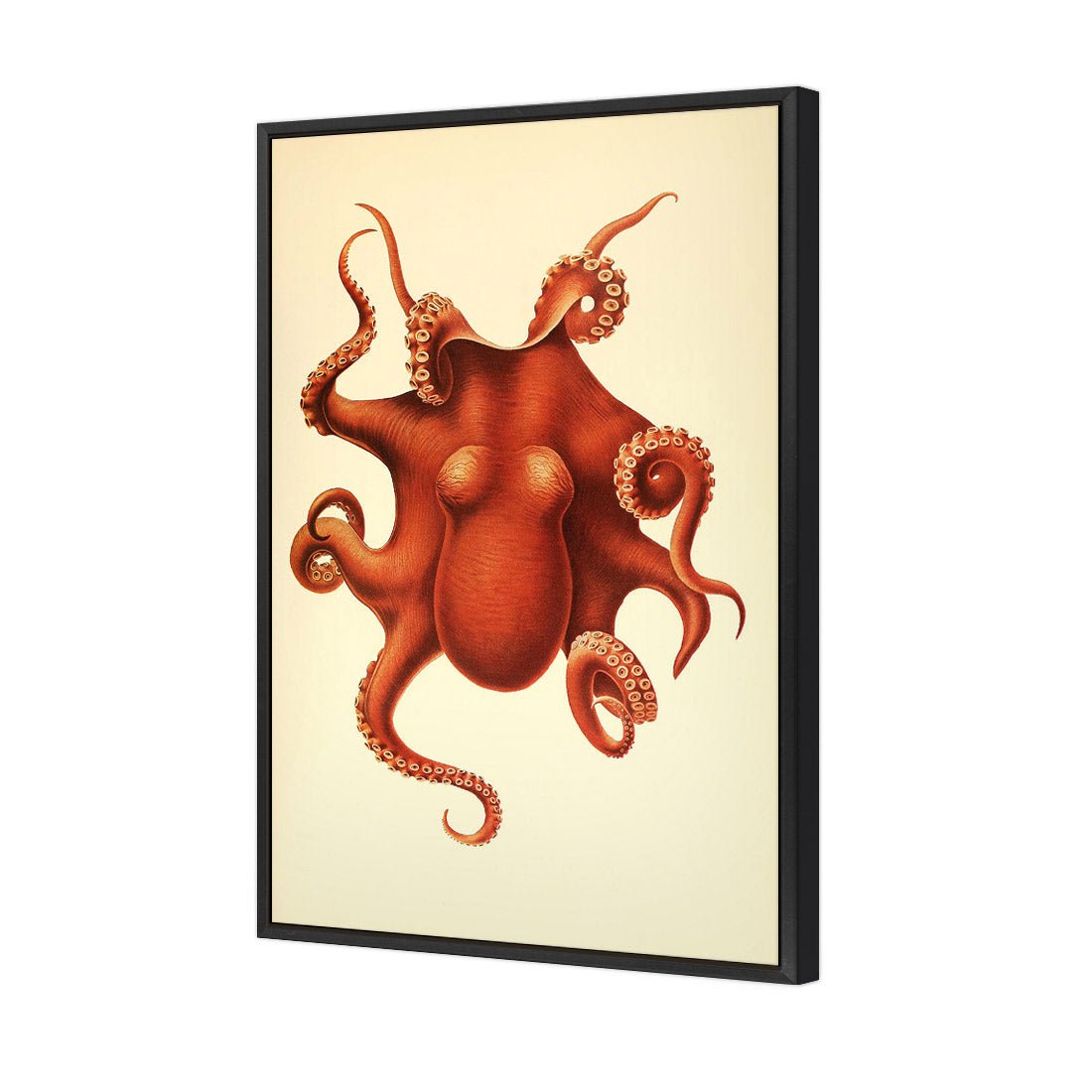 Vintage Octopus - Wall Art Designs - 1831_AR_V WAD_CP - MPY - 260 - M - S - S_45x30_S - 1550 - BLK