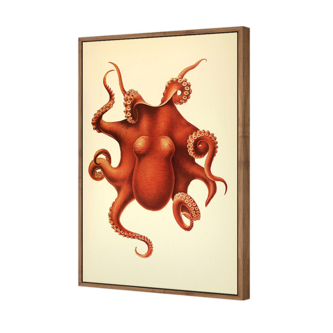 Vintage Octopus - Wall Art Designs - 1831_AR_V WAD_CP - MPY - 260 - M - S - S_45x30_S - 1550 - NAT