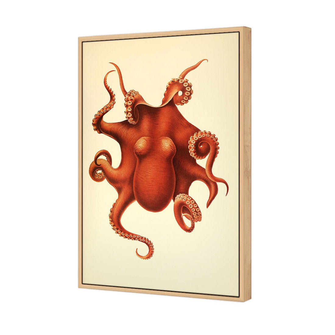 Vintage Octopus - Wall Art Designs - 1831_AR_V WAD_CP - MPY - 260 - M - S - S_45x30_S - 1550 - OAK