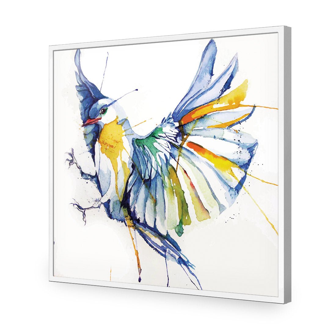 Watercolour Bird (square) - Wall Art Designs - 1837_AS_Q WAD_CP - MPY - 260 - M - S - S_37x37_NONE