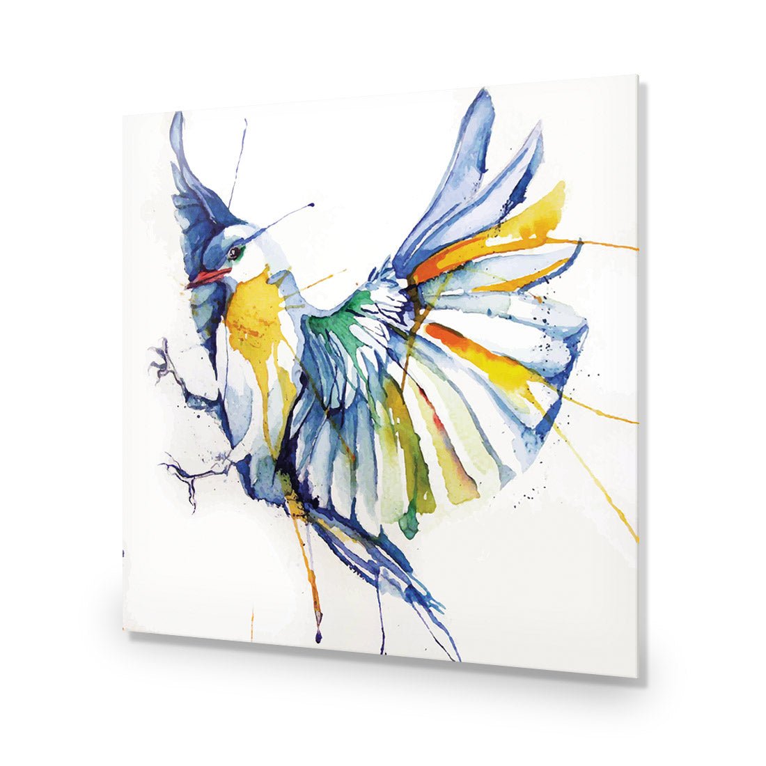 Watercolour Bird (square) - Wall Art Designs - 1837_AS_Q WAD_CP - MPY - 260 - M - S - S_37x37_NONE