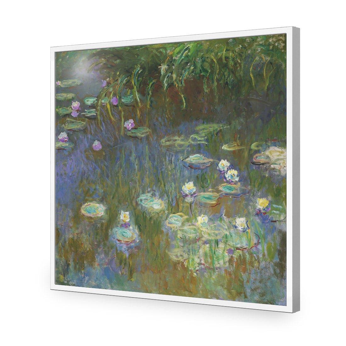 White and Purple Water Lilies By Monet - Wall Art Designs - 3402_AS_Q WAD_AP - 030 - EDG_37x37_S - 2538 - WHT