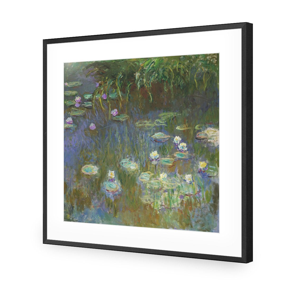 White and Purple Water Lilies By Monet - Wall Art Designs - 3402_AS_Q WAD_AP - 030 - MAT_37x37_S - 2538 - BLK