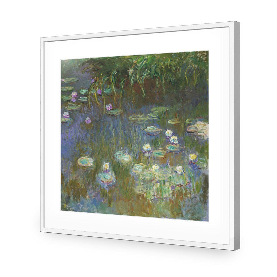 White and Purple Water Lilies By Monet - Wall Art Designs - 3402_AS_Q WAD_AP - 030 - MAT_37x37_S - 2538 - WHT