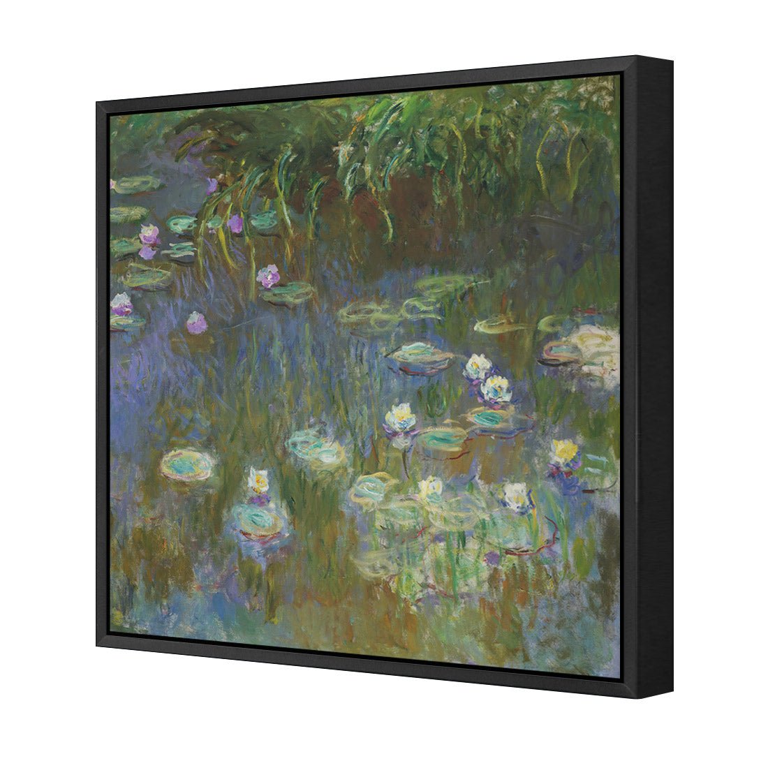 White and Purple Water Lilies By Monet - Wall Art Designs - 3402_AS_Q WAD_CP - MPY - 260 - M - S - S_37x37_S - 1550 - BLK