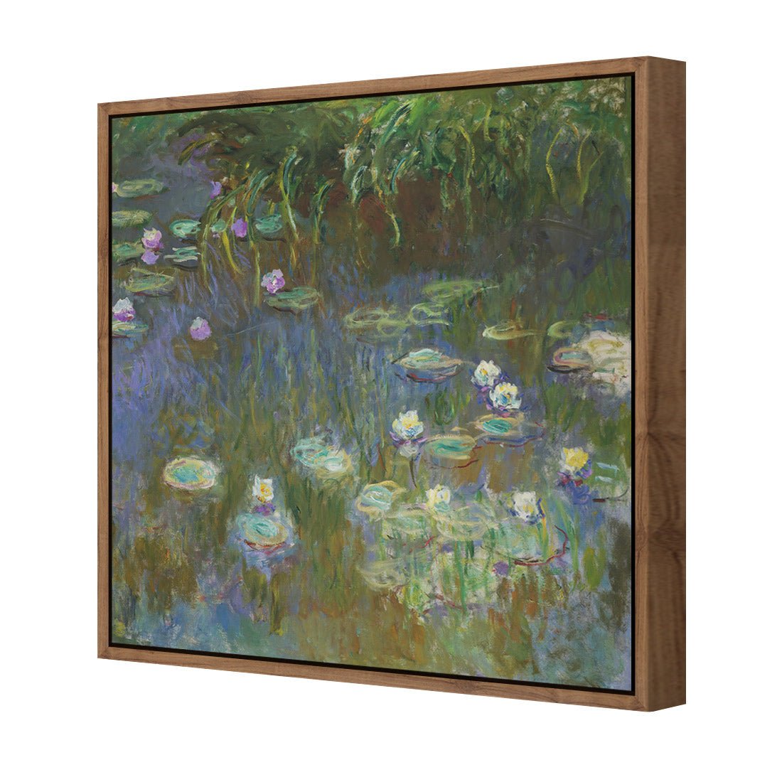 White and Purple Water Lilies By Monet - Wall Art Designs - 3402_AS_Q WAD_CP - MPY - 260 - M - S - S_37x37_S - 1550 - NAT