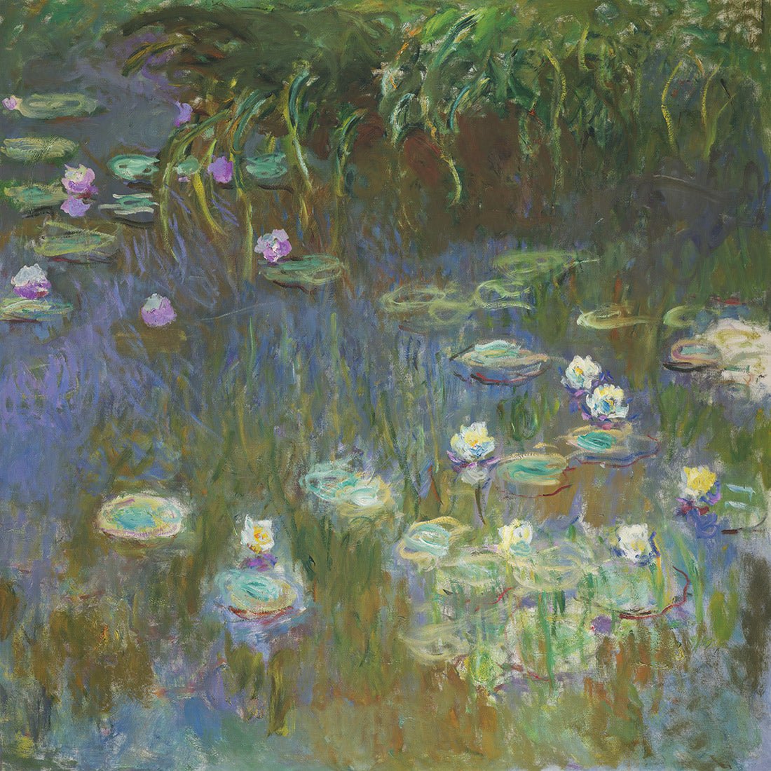 White and Purple Water Lilies By Monet - Wall Art Designs - 3402_AS_Q WAD_CP - MPY - 260 - M - S - S_37x37_NONE