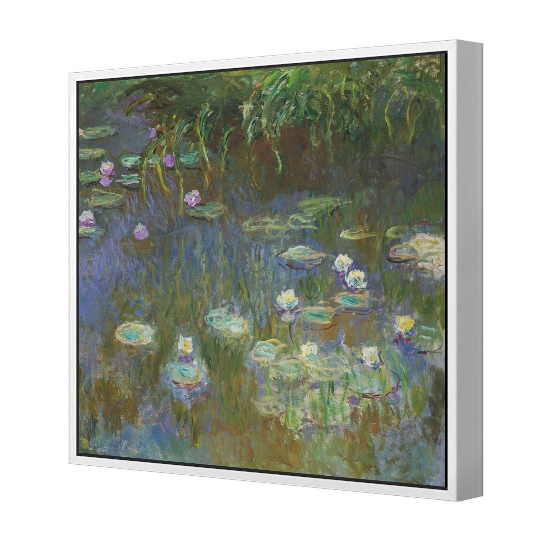 White and Purple Water Lilies By Monet - Wall Art Designs - 3402_AS_Q WAD_CP - MPY - 260 - M - S - S_37x37_S - 1550 - WHT