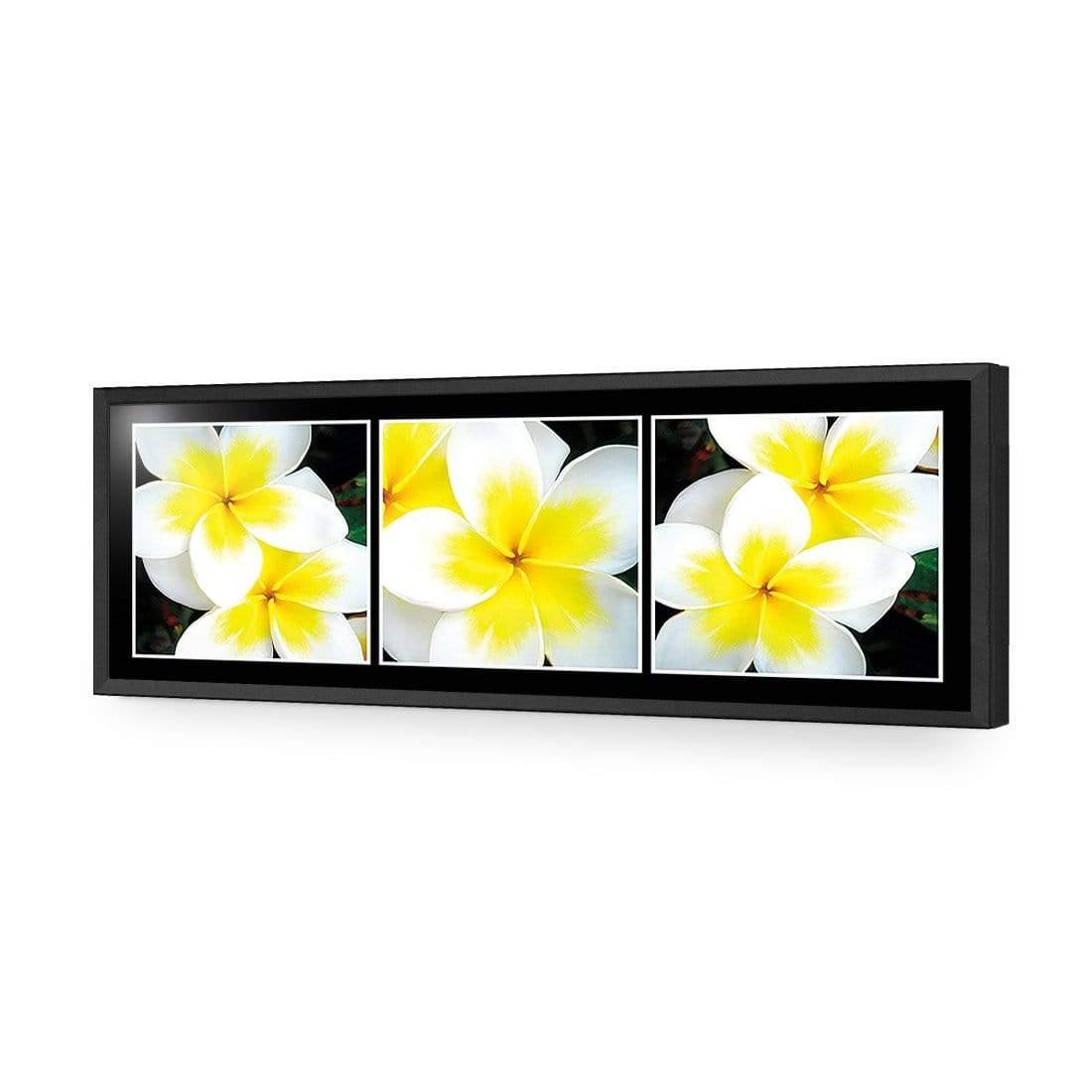 White Frangipani Montage - Wall Art Designs - 823_AL_H WAD_AP - 030 - EDG_90x30_S - 2538 - BLK