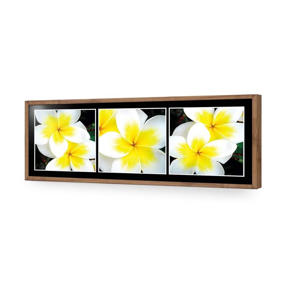 White Frangipani Montage - Wall Art Designs - 823_AL_H WAD_AP - 030 - EDG_90x30_S - 2538 - NAT